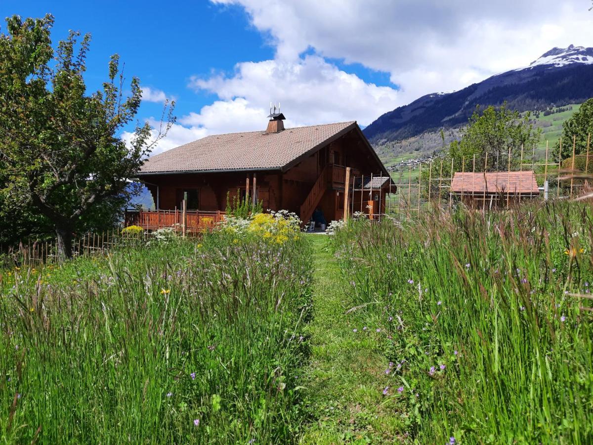 Chalet Le Paradou Ла-Кот-д'Эме Экстерьер фото